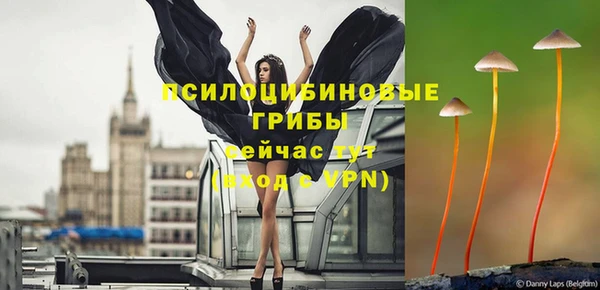 spice Арсеньев