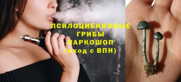 spice Арсеньев