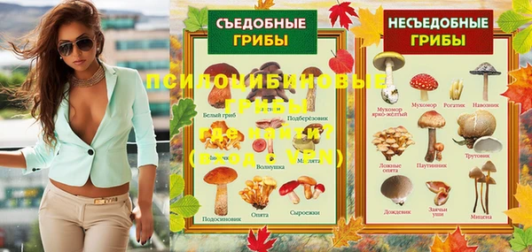 стафф Алексин