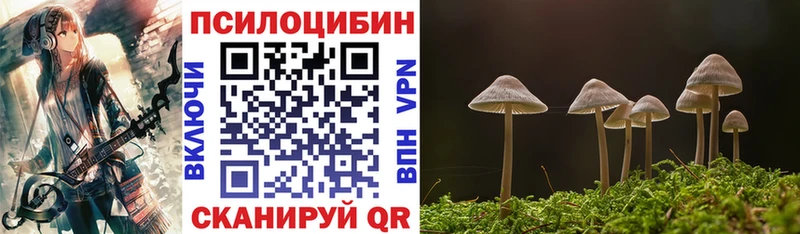 Псилоцибиновые грибы мухоморы  хочу наркоту  Мытищи 